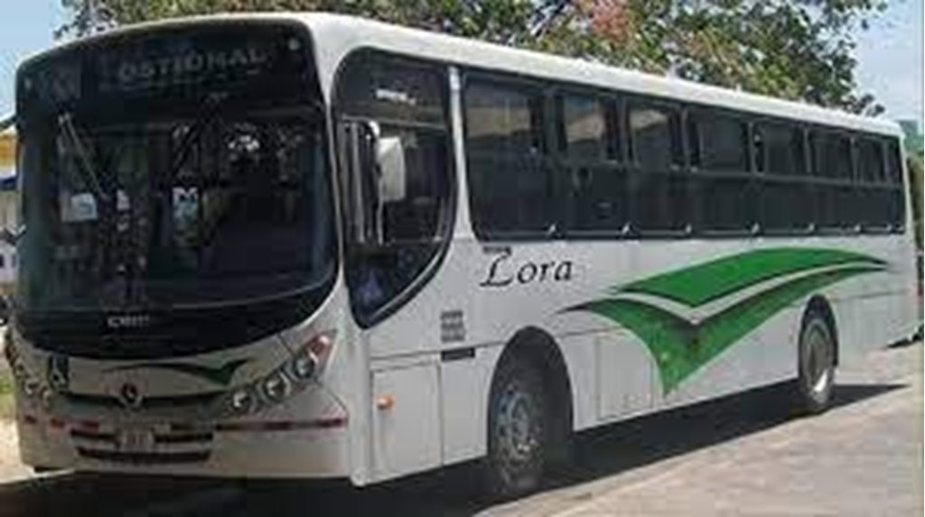 Bus Services from Santa Cruz to Marbella