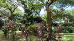 Casa Pitahaya