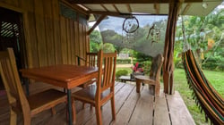 Deck View